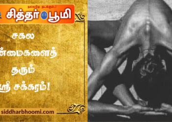 சகல நன்மைகளைத் தரும் ஸ்ரீ சக்கரம்!