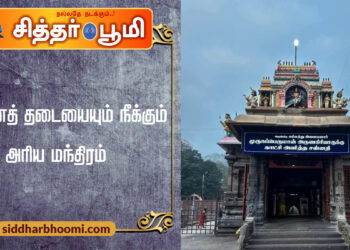 திருமணத் தடையையும் நீக்கும் அரிய மந்திரம்