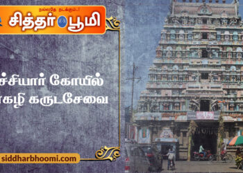 நாச்சியார்கோயில்  மார்கழி கருடசேவை