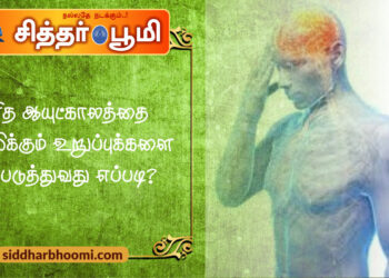 மனித ஆயுட்காலத்தை நிர்ணயிக்கும் உறுப்புக்களை பலப்படுத்துவது எப்படி?