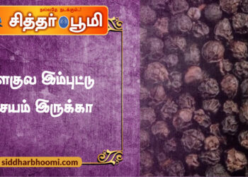 மிளகுல இம்புட்டு விசயம் இருக்கா