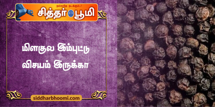 மிளகுல இம்புட்டு விசயம் இருக்கா