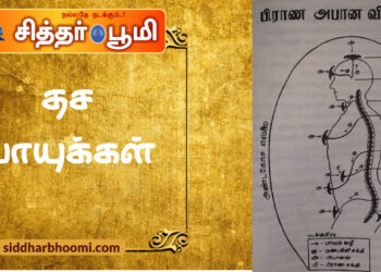 தச வாயுக்கள்