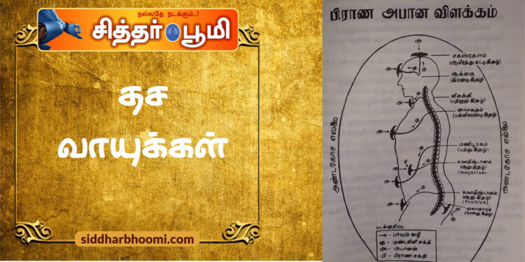 தச வாயுக்கள்