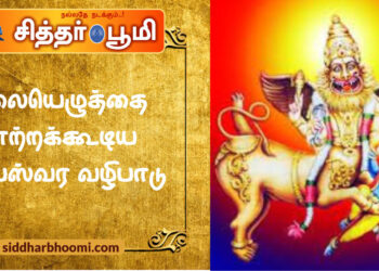 தலையெழுத்தை மாற்றக்கூடிய சரபேஸ்வர வழிபாடு!