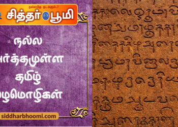 நல்ல அர்த்தமுள்ள தமிழ் பழமொழிகள்