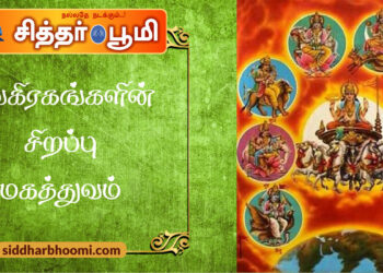 நவகிரகங்களின் சிறப்பு மகத்துவம்