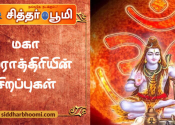 மகா சிவராத்திரியின் சிறப்புகள்