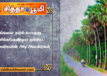 மரங்களை நடும் பொழுது கவனிக்கவேண்டிய முக்கிய இடைவெளிகளின் அடி  அளவீடுகள்.