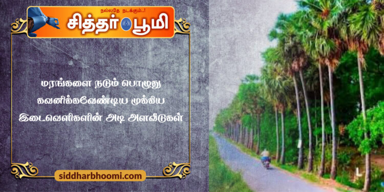 மரங்களை நடும் பொழுது கவனிக்கவேண்டிய முக்கிய இடைவெளிகளின் அடி  அளவீடுகள்.