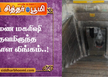 மரண பயத்தை நீக்கும் ரமண மகாிஷி தவமிருந்த பாதாள லிங்கம்..!