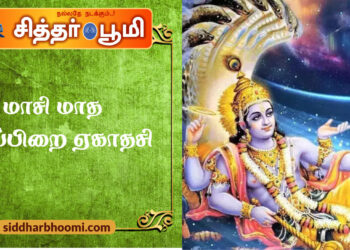 மாசி மாத தேய்பிறை ஏகாதசி