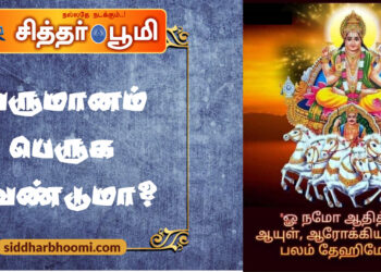 வருமானம் பெருக வேண்டுமா?