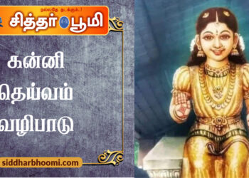 கன்னி தெய்வம்  வழிபாடு