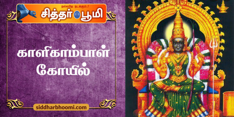 காளிகாம்பாள் கோயில்