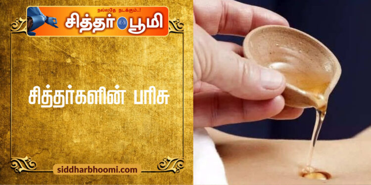 சித்தர்களின் பரிசு 