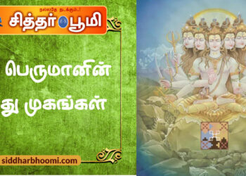 சிவ பெருமானின் ஐந்து முகங்கள்