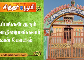 திருப்பங்கள் தரும் திருவாதிரைமங்கலம் சிவன் கோயில்