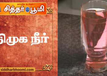 பதிமுக நீர்