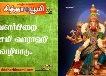 வளர்பிறை பஞ்சமி வாராஹி வழிபாடு.