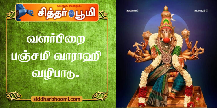 வளர்பிறை பஞ்சமி வாராஹி வழிபாடு.