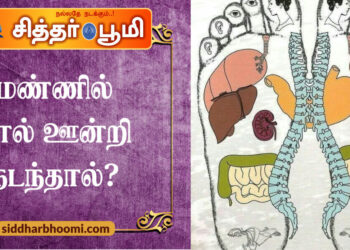 மண்ணில் கால் ஊன்றி நடந்தால்?