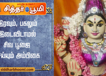 இரவும், பகலும் இடைவிடாமல் சிவ பூஜை செய்யும் அம்பிகை