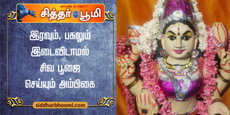 இரவும், பகலும் இடைவிடாமல் சிவ பூஜை செய்யும் அம்பிகை