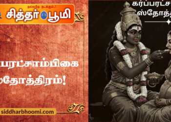 கர்ப்பரட்சாம்பிகை ஸ்தோத்திரம்!