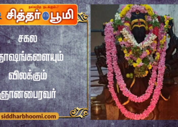 சகல தோஷங்களையும் விலக்கும் ஞானபைரவர்