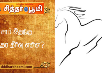 சாமி இதற்கு நிறந்தர தீர்வு என்ன?