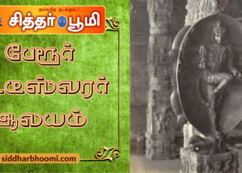 பேரூர் பட்டீஸ்வரர் ஆலயம்.