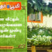 கல்யாண வீட்டில் வாழை மரங்களை ஏன் வீட்டின் முன்பு கட்டுகிறார்கள்?