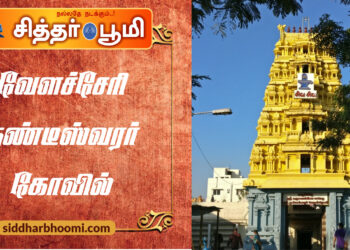 வேளச்சேரி தண்டீஸ்வரர் கோவில் வரலாறு