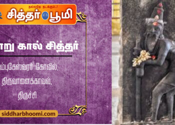 மூன்று கால் சித்தர்