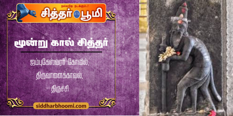 மூன்று கால் சித்தர்