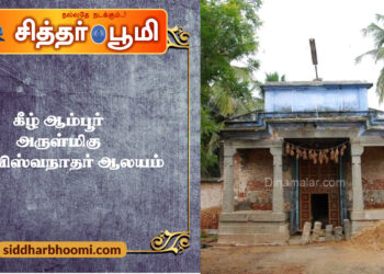 கீழ் ஆம்பூர் அருள்மிகு காசிவிஸ்வநாதர் ஆலயம்