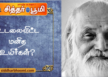 உடலைவிட்ட மனித உயிர்கள்?