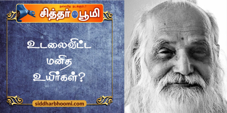 உடலைவிட்ட மனித உயிர்கள்?