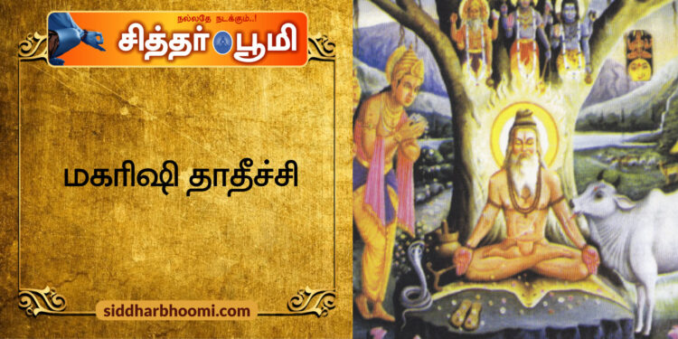மகரிஷி தாதீச்சி