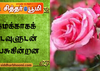 நமக்காகக் கடவுளுடன் பேசுகின்றன