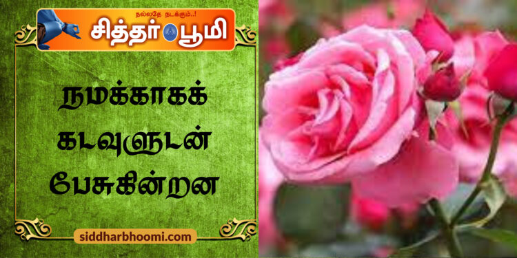 நமக்காகக் கடவுளுடன் பேசுகின்றன