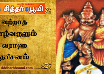 வற்றாத வாழ்வருளும் வராஹ தரிசனம்
