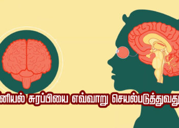 பீனியல் சுரப்பியை எவ்வாறு செயல்படுத்துவது?