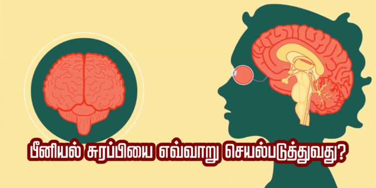 பீனியல் சுரப்பியை எவ்வாறு செயல்படுத்துவது?