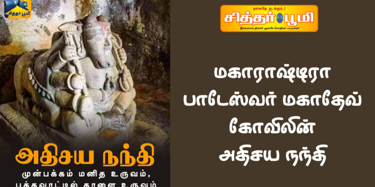 மகாராஷ்டிரா பாடேஸ்வர் மகாதேவ் கோவிலின் அதிசய நந்தி.