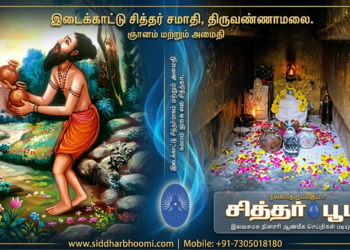 திருவண்ணாமலை இடைக்காட்டு சித்தர் சமாதி