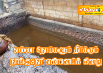 எல்லா நோய்களும் தீர்க்கும் நாங்குநேரி எண்ணெய்க் கிணறு