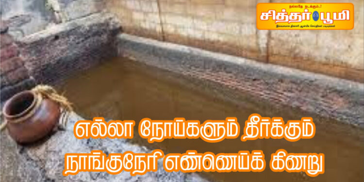 எல்லா நோய்களும் தீர்க்கும் நாங்குநேரி எண்ணெய்க் கிணறு