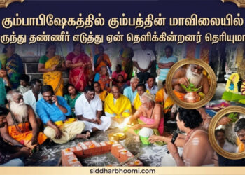 கும்பாபிஷேகத்தில் கும்பத்தின் மாவிலையில் இருந்து தண்ணீர் எடுத்து ஏன் தெளிக்கின்றனர் தெரியுமா?